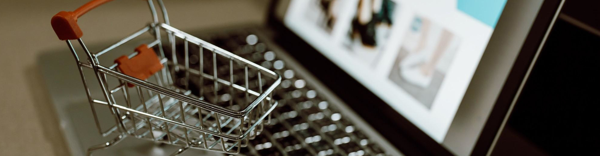 how-to-plan-your-budget-for-developing-an-ecommerce-website