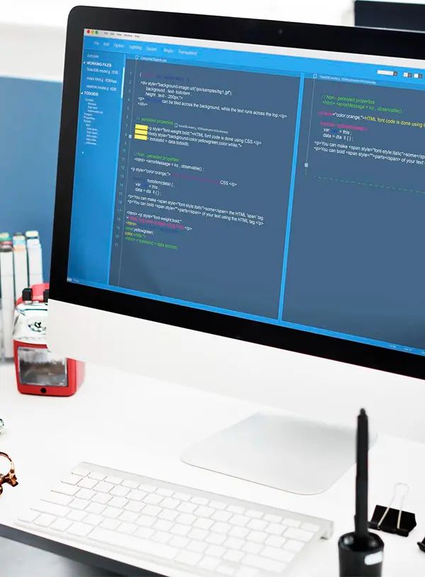 Custom Web App Development