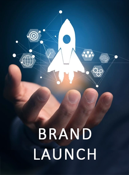 Visual Design & Identity