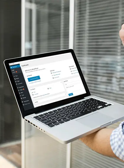 Custom WordPress development