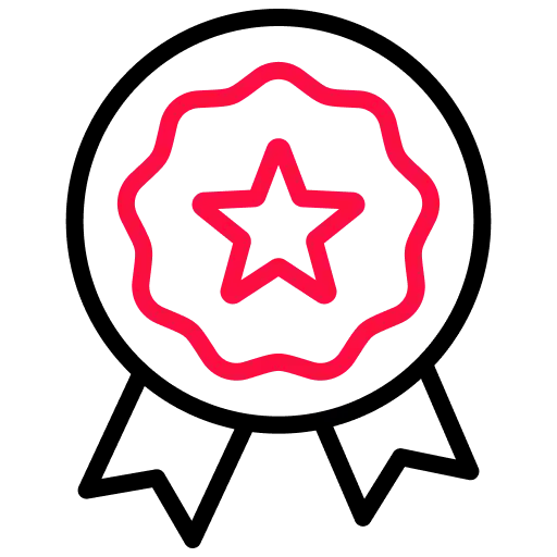 Expert Animators & Direction