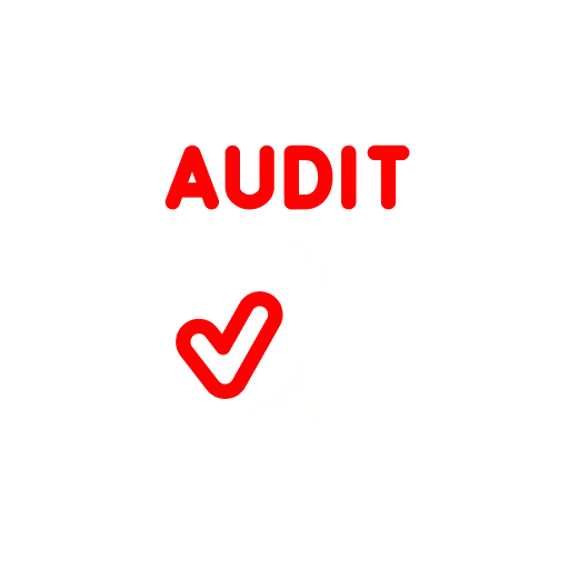 We Begin with a Full SEO Audit