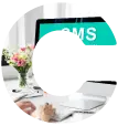 CMS development