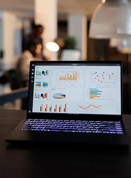 Custom ERP Dashboards 
