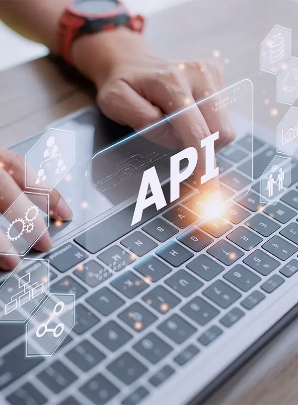 Laravel API Software Development