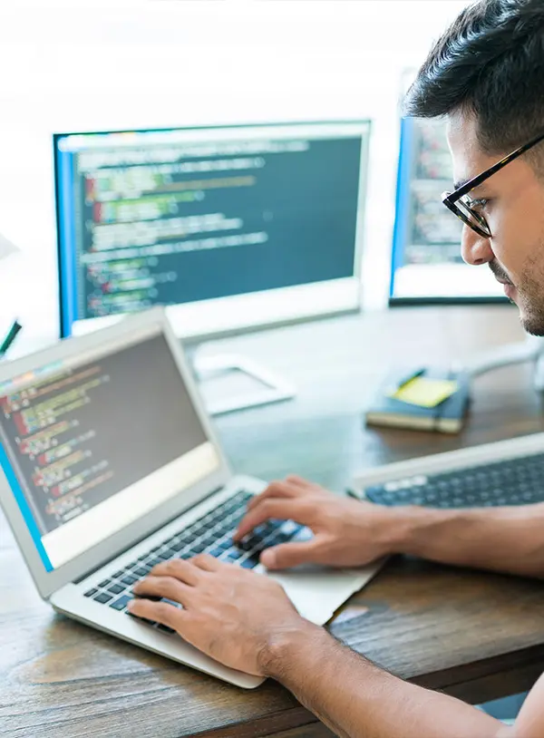 Laravel Software Extension and Plugin Development