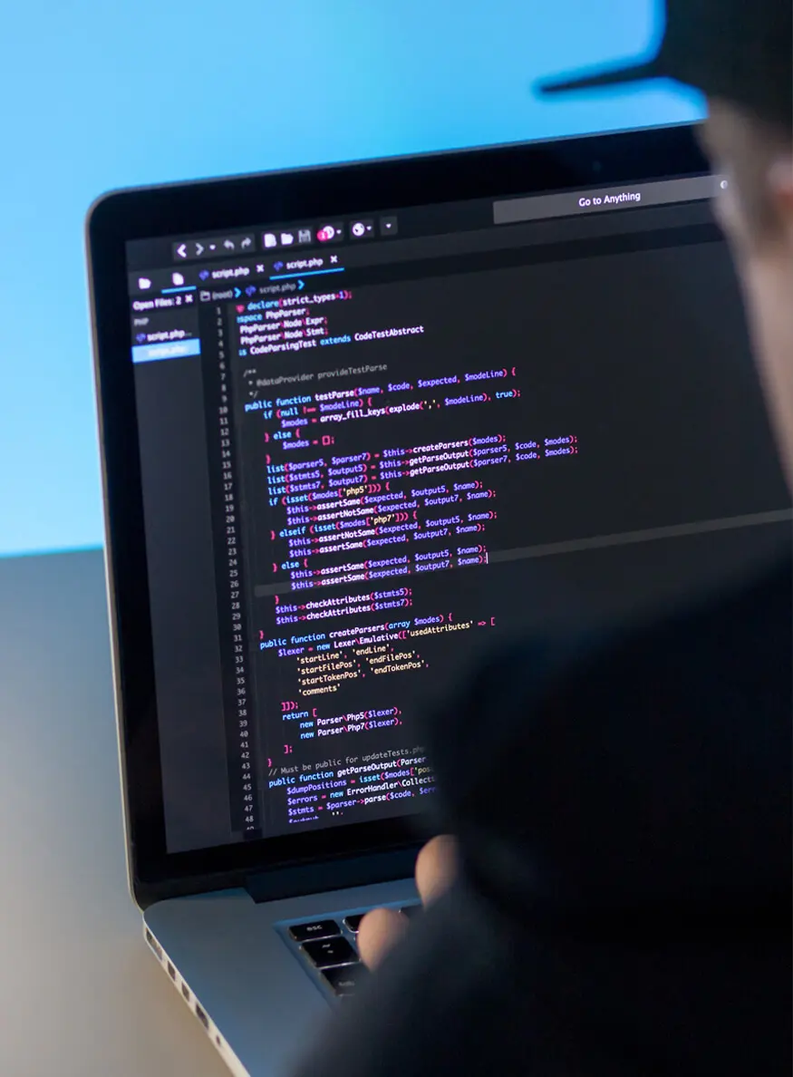 Custom web development