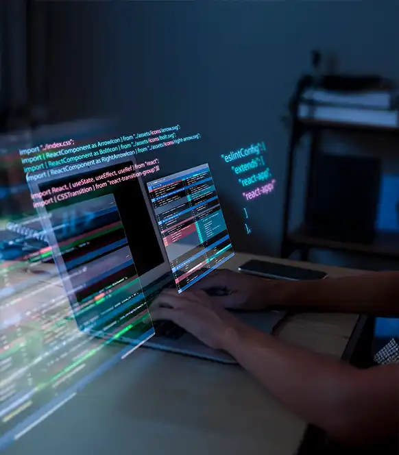 web-application Development