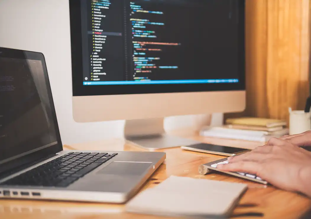 CMS Development